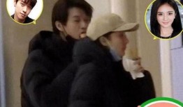 魏大勋杨幂最新爆料,揭秘幕后故事与情感纠葛